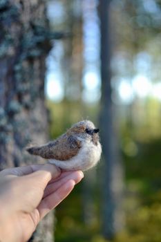 Fågel Gråsparv