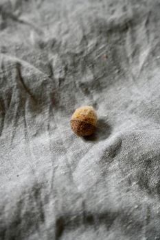 Ekollon