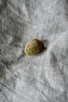 Ekollon