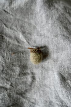 Ekollon