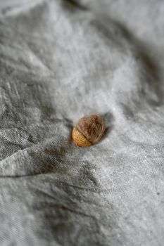 Ekollon