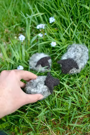 Ulligt får