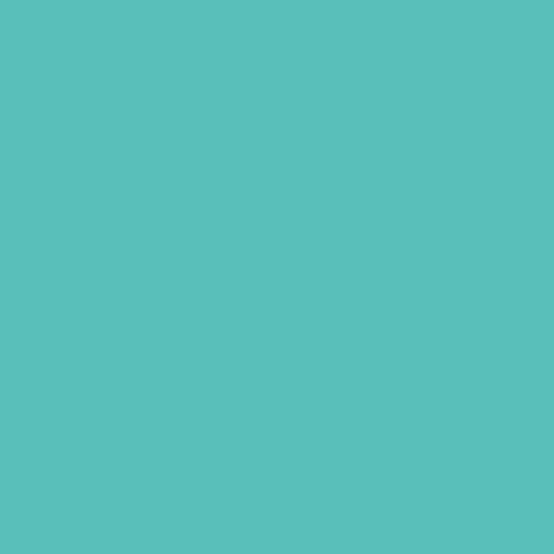 Väggvinyl Oracal 638, 30x50 Mint
