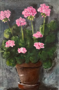 Rosa pelargon.
