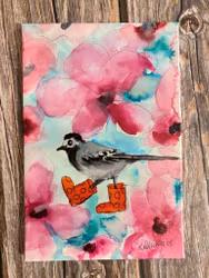 Hej lilla sädesärlan.