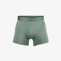 Salming NY DESIGN! - Bamboo Boxer, green