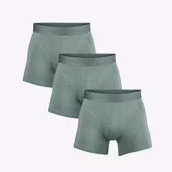 Salming NY DESIGN! 3- pack Bamboo Boxer, green