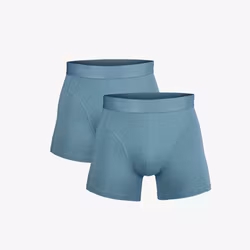 Salming NY DESIGN! 2- pack Bamboo Boxer, blue