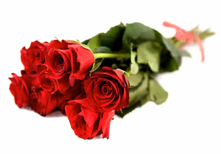 Alla Hjärtans dag - Fröken Färg ROSEN 7