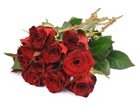 Alla Hjärtans dag - Fröken Färg ROSEN 10