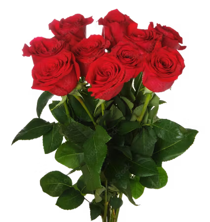 Alla Hjärtans dag - Fröken Färg ROSEN 10