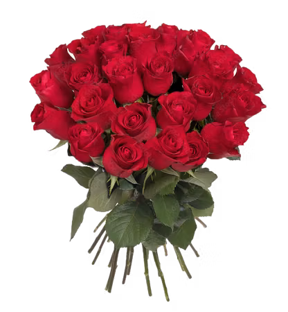 Kopia Alla Hjärtans dag - Fröken Färg ROSEN 30