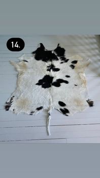Hud av fjällko