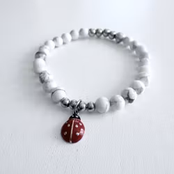 Nyckelpiga – Lucky Ladybug