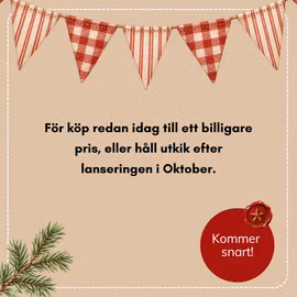 FESTLIGA NISSEBREV