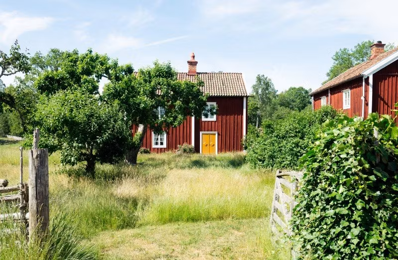 Strandskyddsdispens och tomtplatsavgränsning