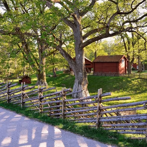 Klagorätt i ärenden om strandskydd