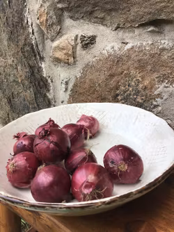 Anticato serveringsfat/skål 30 cm. Vitt.
