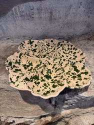 Handgjord antipasto-/ tapasfat. Spruzzi. Flaskgrönt.