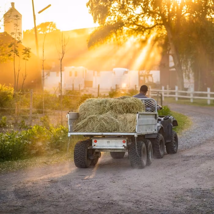 Tippvagn ATV 1,5 ton