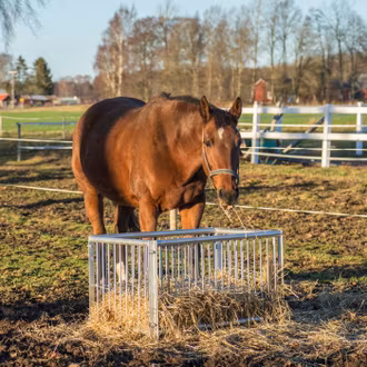 Foderbox för häst
