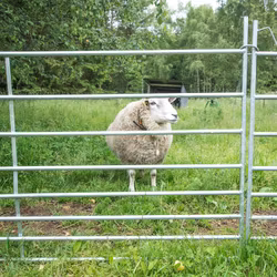 Fårgrind 2,0 m
