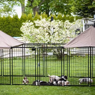 Portabel hundhage Nikko