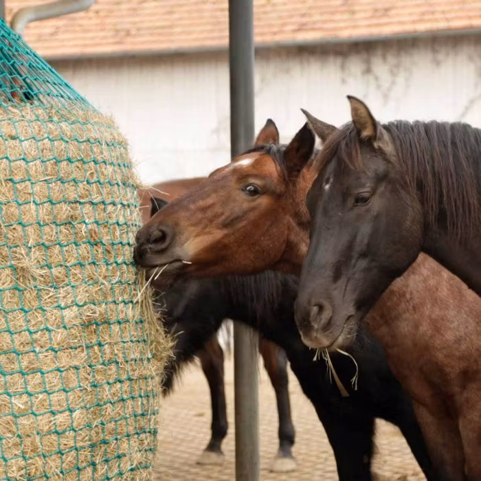 Hönät för rundbalar, upphängningsbart, SlowFeeder