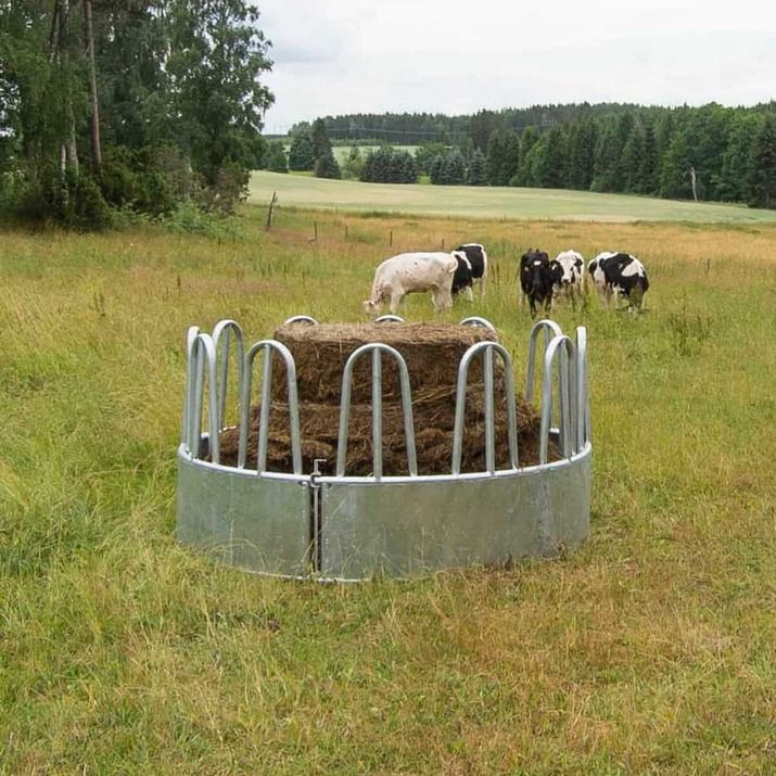 Foderhäck med bogstöd för nöt, 12 platser