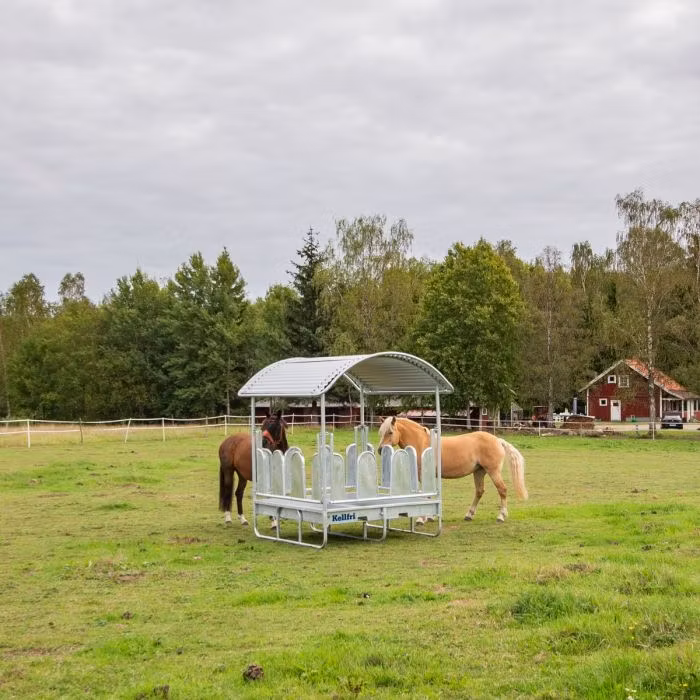 Foderhäck med tak och täckta bogstöd för häst