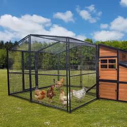 Hönsgård till Hönshus PREMIUM