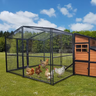 Hönsgård till Hönshus PREMIUM