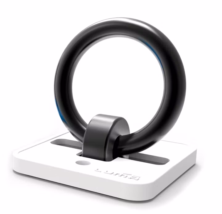 LUMA ANCHOR 300 ground lock