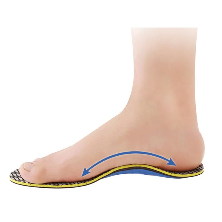 Inlegzolen (sport)