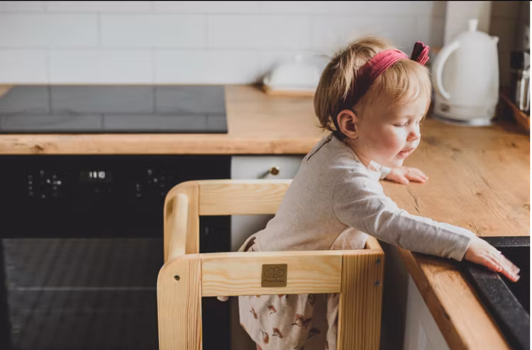 Meow, Læringstårn, natur