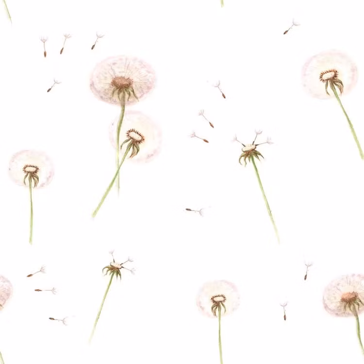 Dekornik, tapet Mælkebøtte