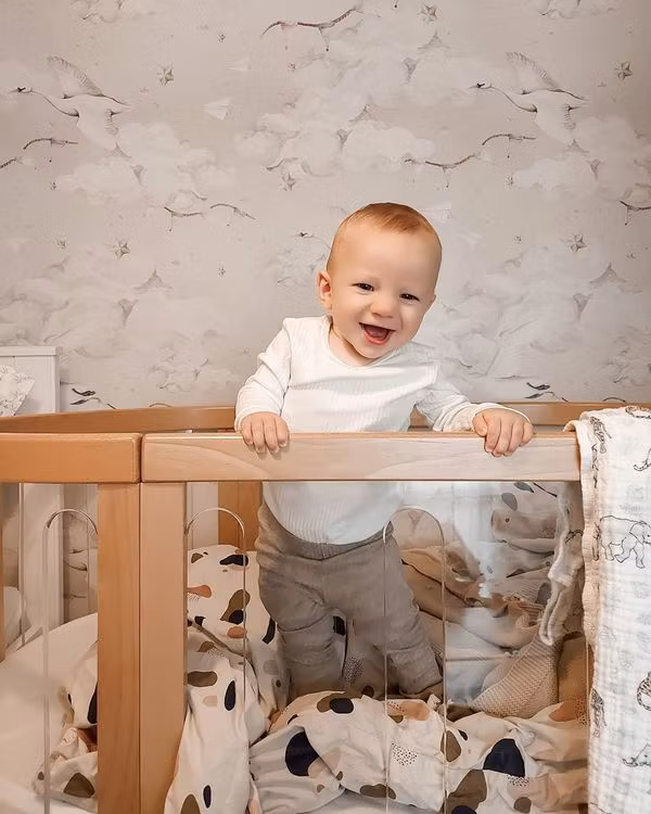 Dekornik, tapet Magic Swans Beige