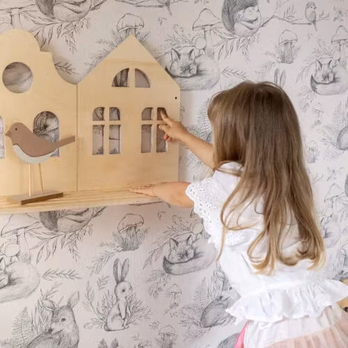 My Mini Home, reol hus S