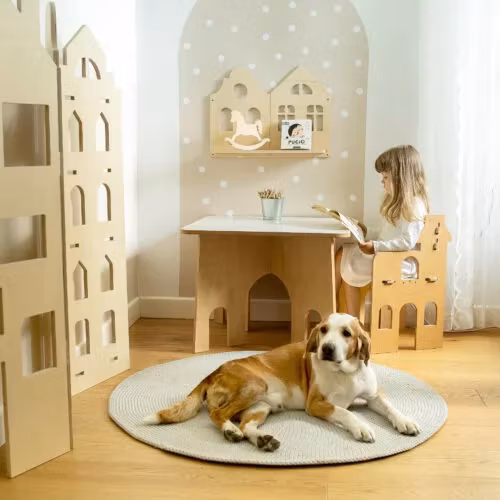 My Mini Home, reol hus S