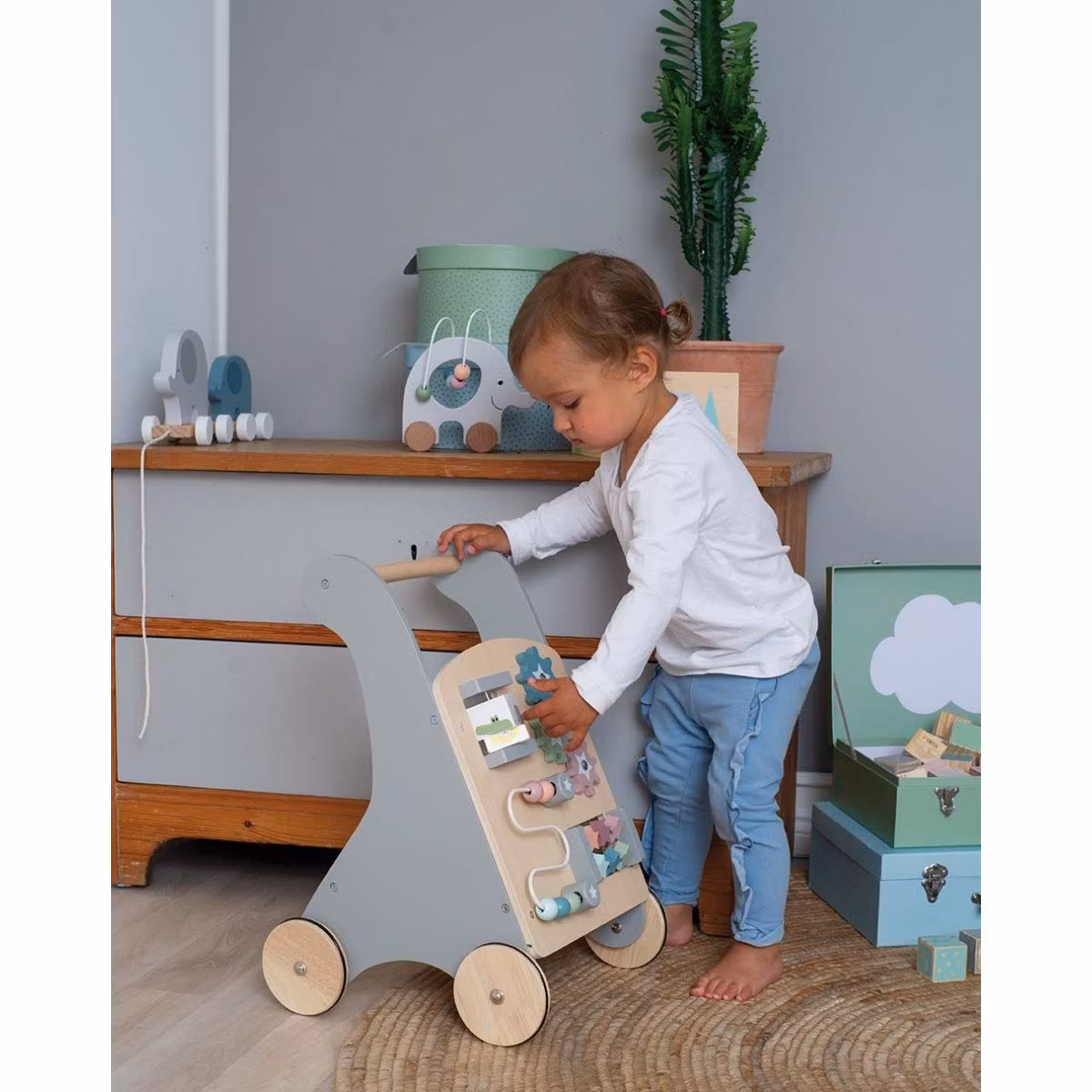 JaBaDaBaDo, aktivitetsvogn, Teddy