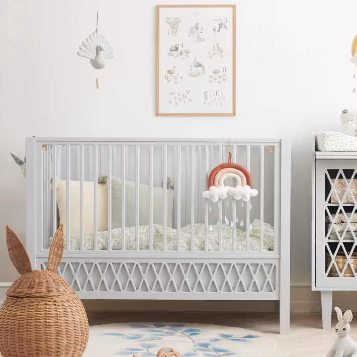 Cam Cam, babyseng Harlequin, grå