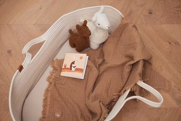 Jollein, moseskurv med madras og betræk