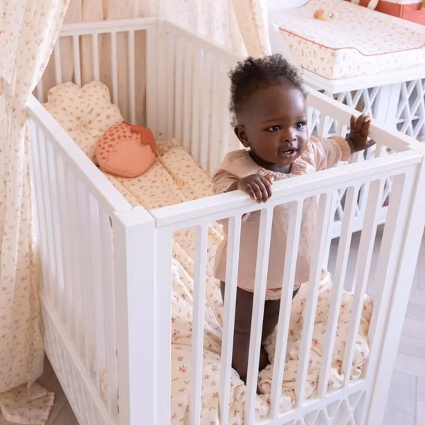 Cam Cam, pude blomst, Berries