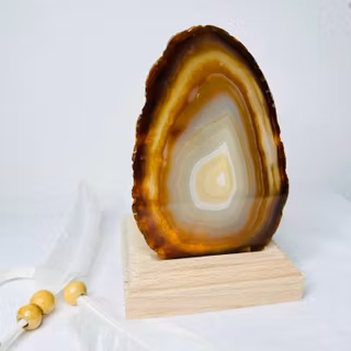 Agat skivor, Ljushållare