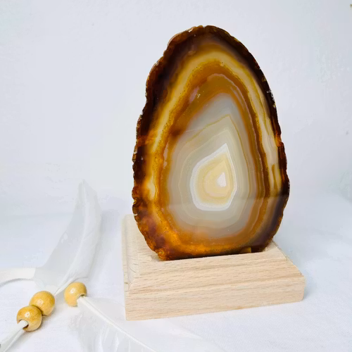 Agat skivor, Ljushållare