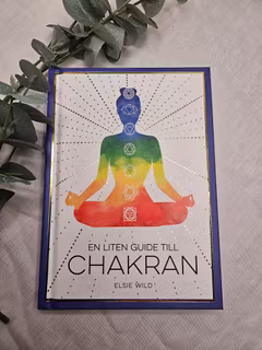 En liten guide till chakran, Elise Wild