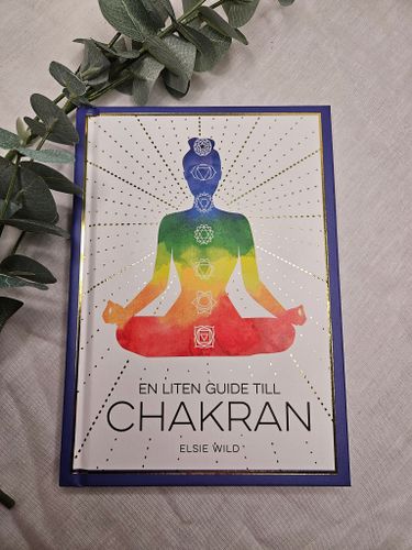 En liten guide till chakran, Elise Wild