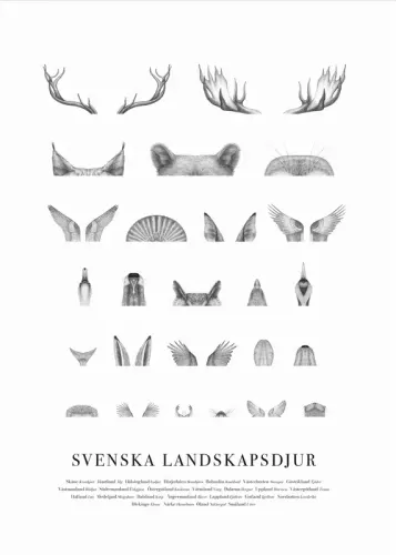 Svenska landskapsdjur poster 50x70