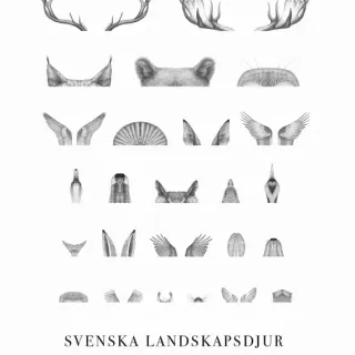 Svenska landskapsdjur poster 50x70