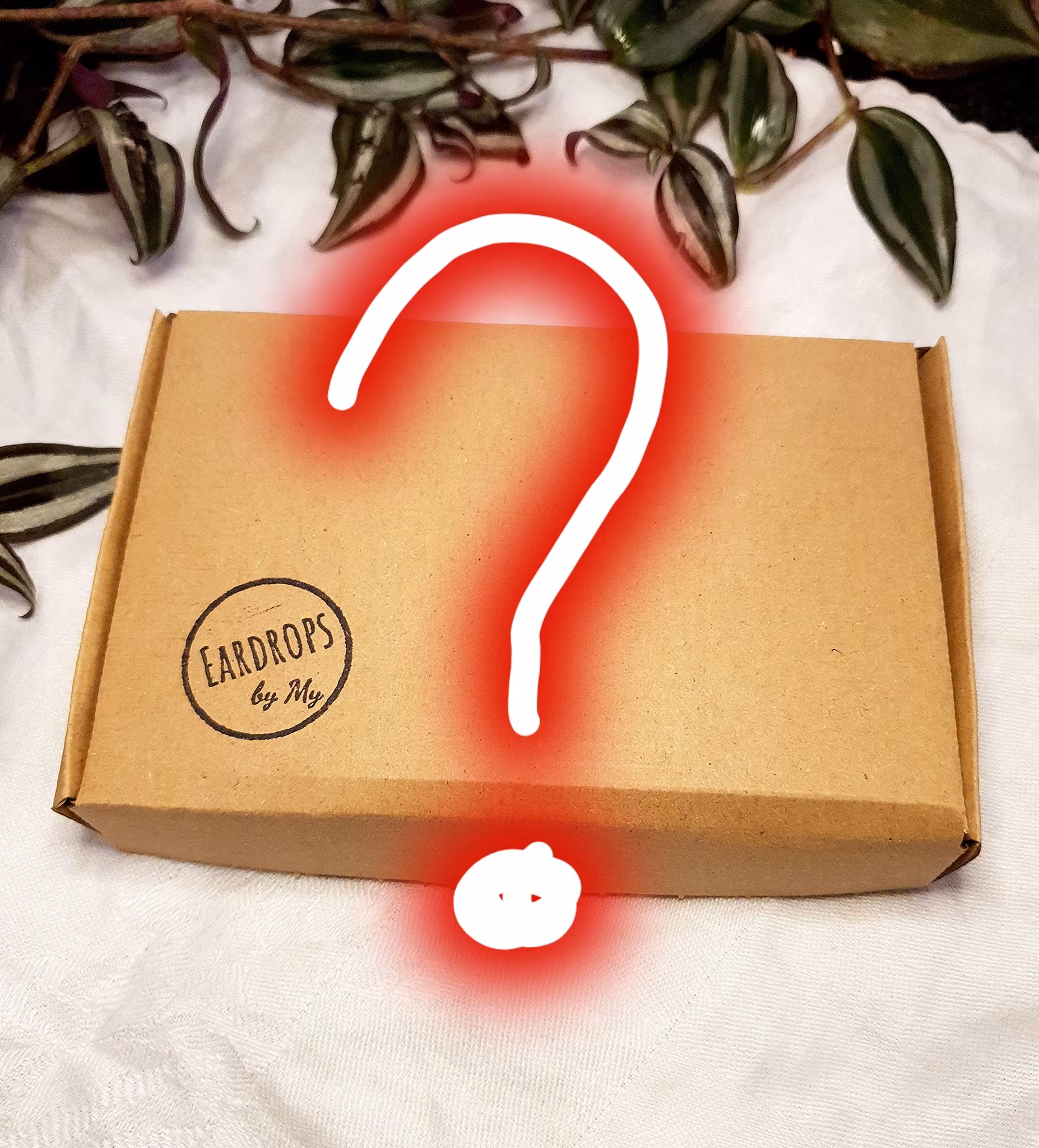 Mystery Box